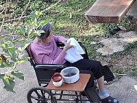 บทเรียนจากแม่