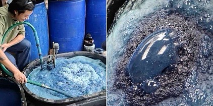 藍の収穫と藍色素の抽出工程シリーズ ：曝気