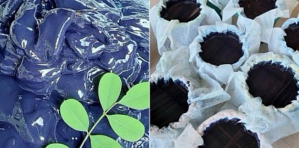 私たちのオーガニック藍ペースト